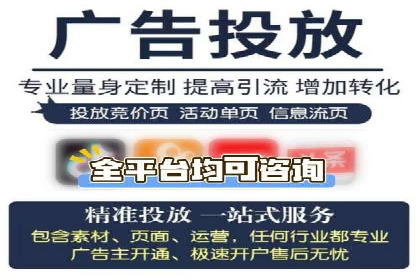 SEM托管公司案例分析：实战技巧全解析